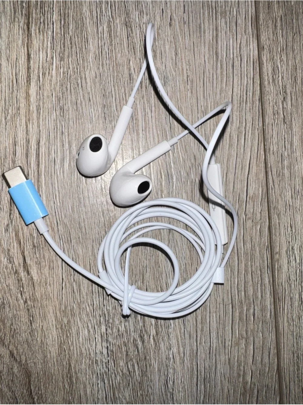 NWT Apple Headphones Wired Type C
